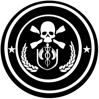 lvloFNX's emblem