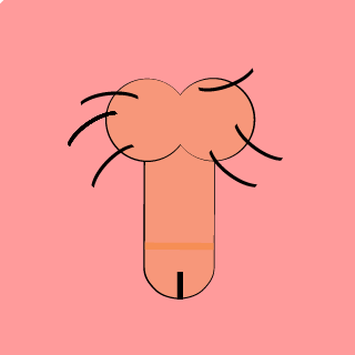 PuzDom's emblem
