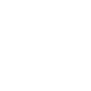 Salakala1980's emblem
