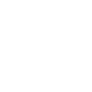 Dasnipaaa's emblem