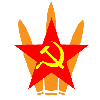 11_ToRn_11's emblem
