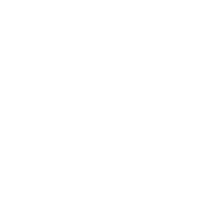 12X_st0rm_X17's emblem