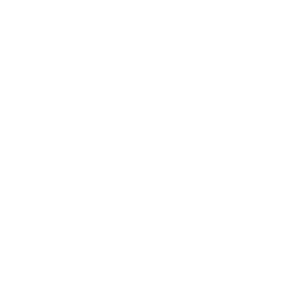 namecuzemrns's emblem