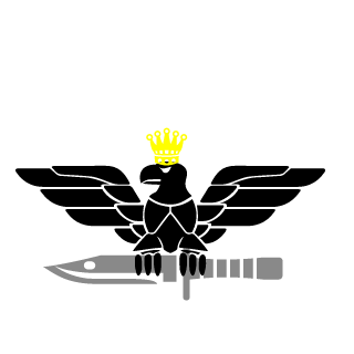 Joole67's emblem