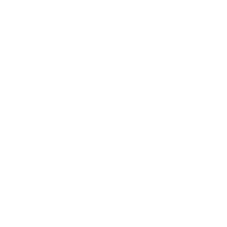 N7-R3NZ's emblem