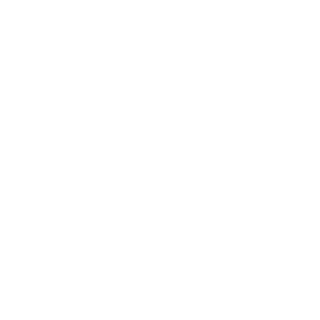 shampzzbr's emblem