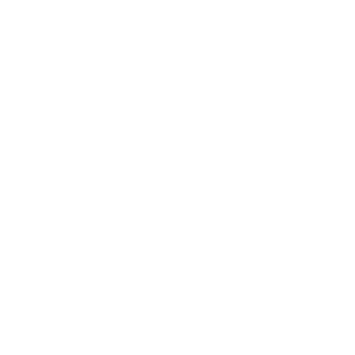 AZK_Evzys's emblem
