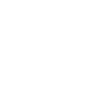 megatronx999's emblem