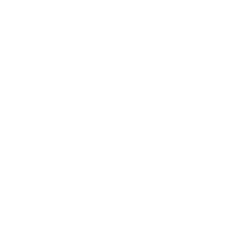 JIMSL1CE's emblem