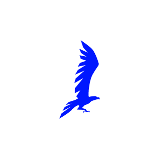 holdster96's emblem