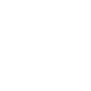 DND313's emblem