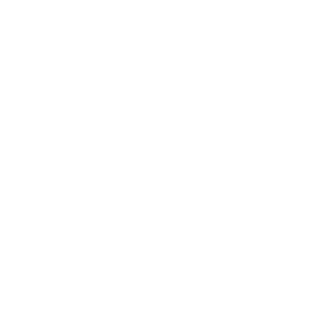 NoSkill93's emblem