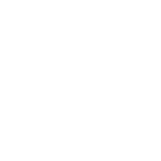 DavidR747's emblem