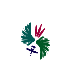 9fc5eb914d5538bc's emblem
