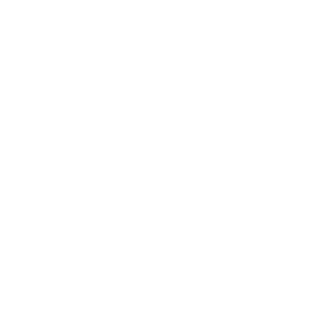 L3M3ScHt's emblem