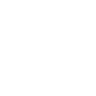 LeDynamo204's emblem