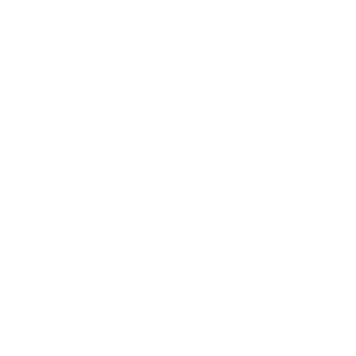 PollaLazer's emblem