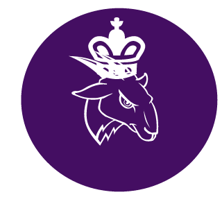 BruninhoTesudo's emblem