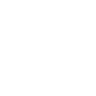 _evgenii_delson_'s emblem