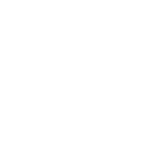 danilov174's emblem