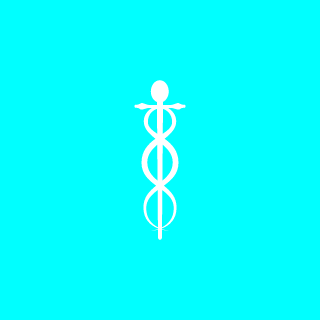 sPiRiT oF fIrE7's emblem