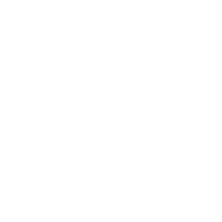 jbischoff11's emblem