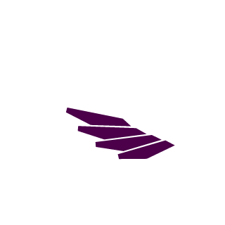 flightcoded's emblem