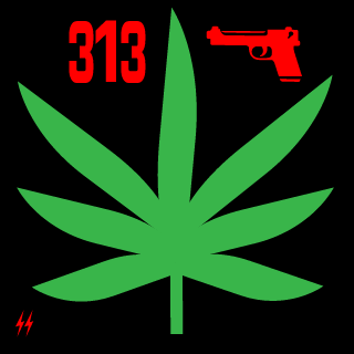level99TransGirl's emblem