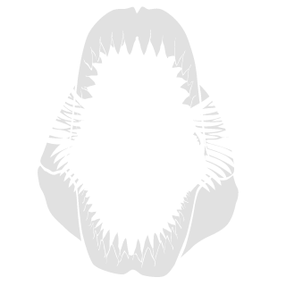 ZecaPipoko's emblem