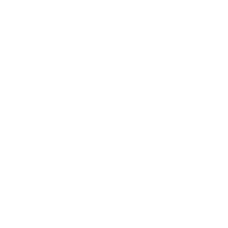 NoodleBLeeTv's emblem