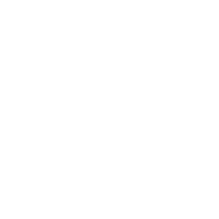-2MC-Phenix's emblem