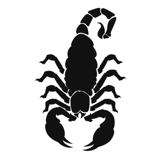 Canek85's emblem