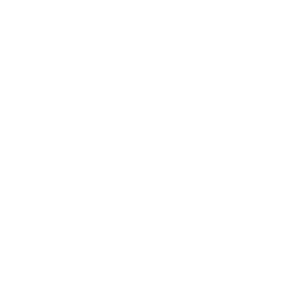 shmishmortion89's emblem