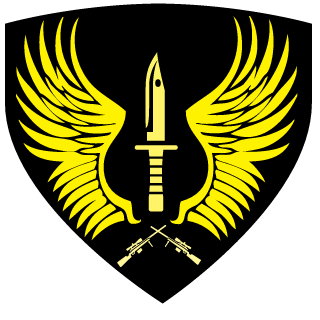 DisasterM1's emblem