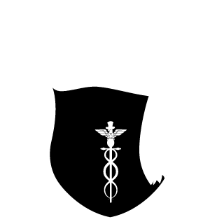 DeSet175's emblem