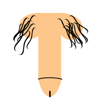 ROK-ANSAN's emblem