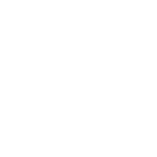BizaxX's emblem