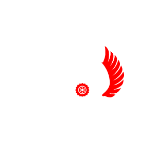 Zbicioo300's emblem