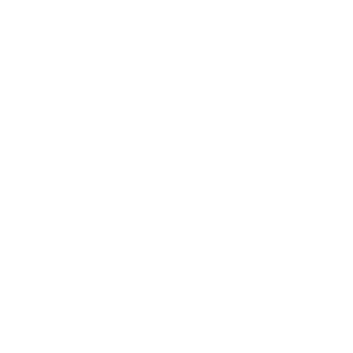 NDNW0LF's emblem