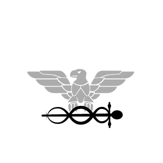 Fr0sB1Br9's emblem