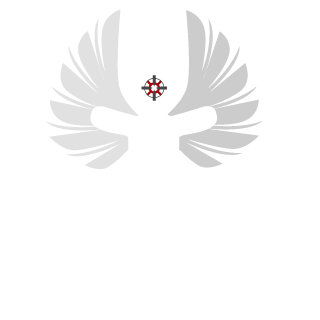 Coolzero_1990's emblem