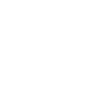 TheVespix's emblem