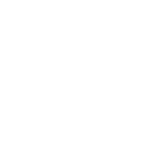 lauring95j's emblem