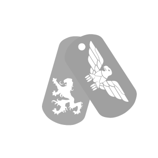 Rayzer113's emblem