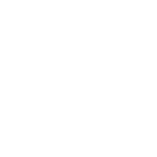 Erikson921's emblem