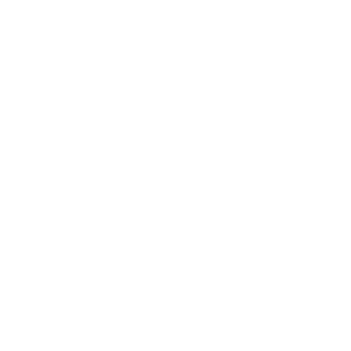 DiscoBiscuits's emblem