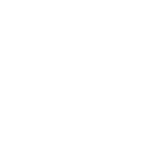 pintiulescu's emblem