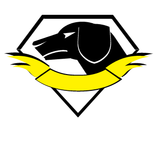 Domiks_H8's emblem