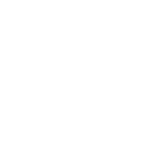FelexxDark11's emblem