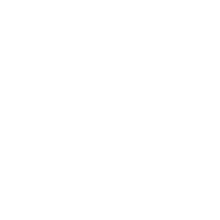 BRONZIL-SNIPER's emblem